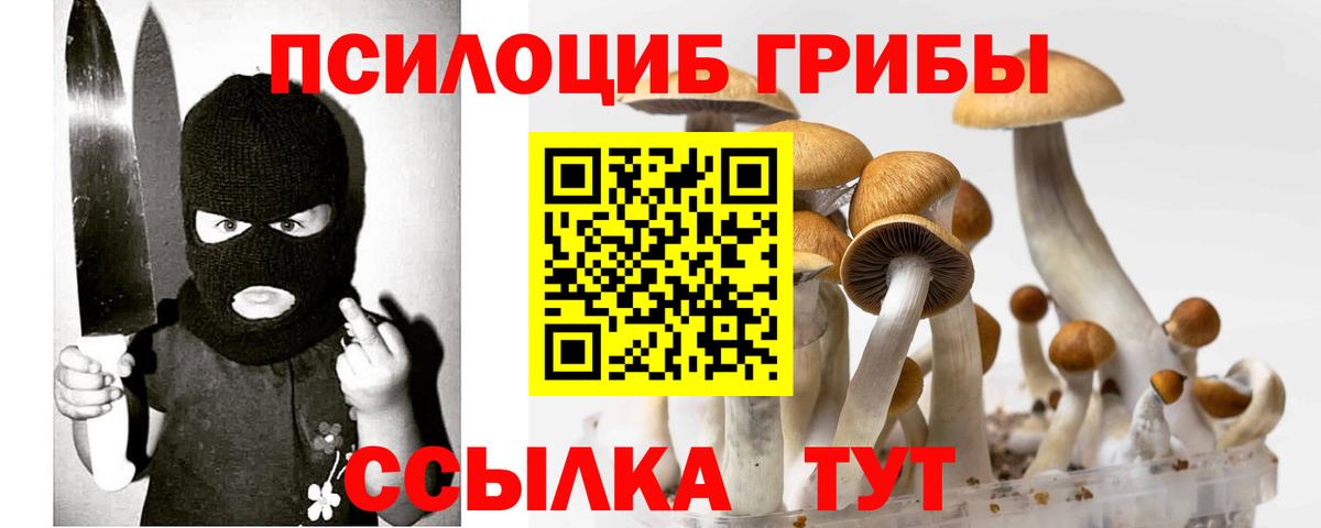 Псилоцибиновые грибы ЛСД  Вход с VPN  Красноуфимск  Галлюциногенные грибы Cubensis 