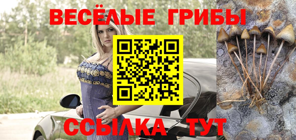 Галлюциногенные грибы Cubensis Красноуфимск